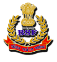 BSF